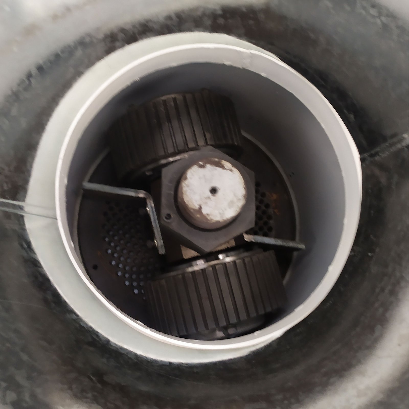 Máquina de Pellets Profissional - Modelo R300